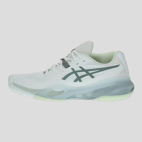 Gel-Resolution X