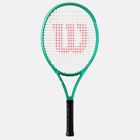 Blade 25 V10