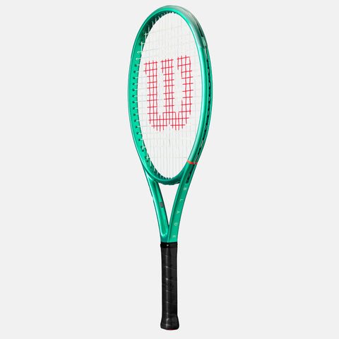 Blade 25 V10