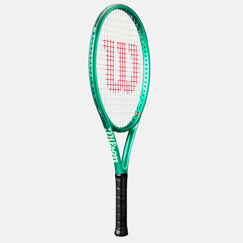 Blade 25 V10