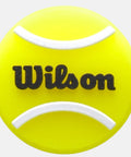 Accessoire de tennis Wilson Vibration Dampener Roland - Garros Ball